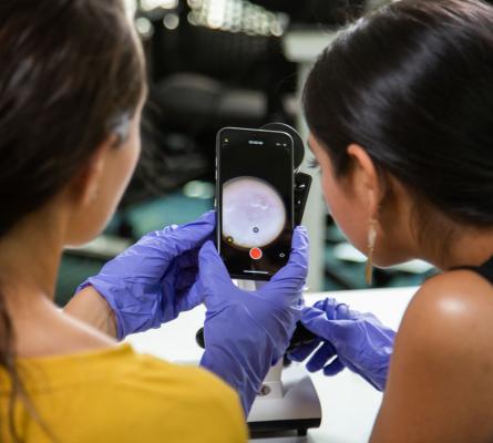 initiatives and programs: young women in biological engineering