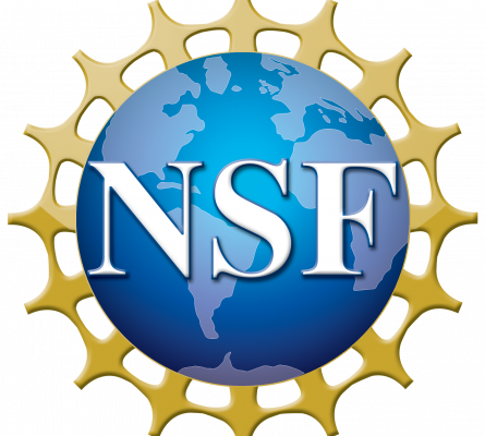 NSF Logo